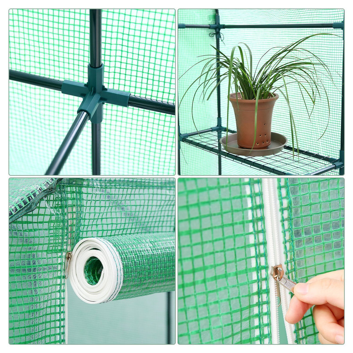 Large Walk-in Plant Greenhouse – All In - Gentelman's Club