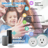 PlugSmart WiFi Voice Control Smart Socket