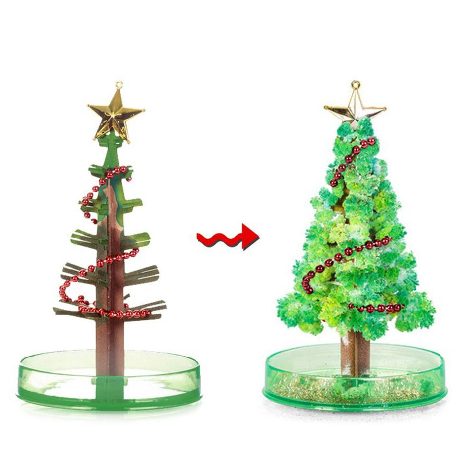 Magic Growing Christmas Tree DIY